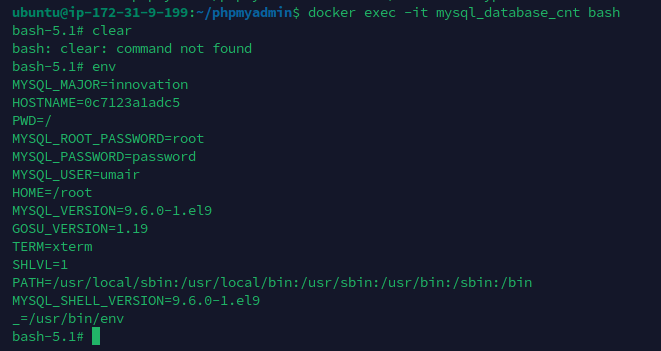 Container environment showing injected MySQL secrets